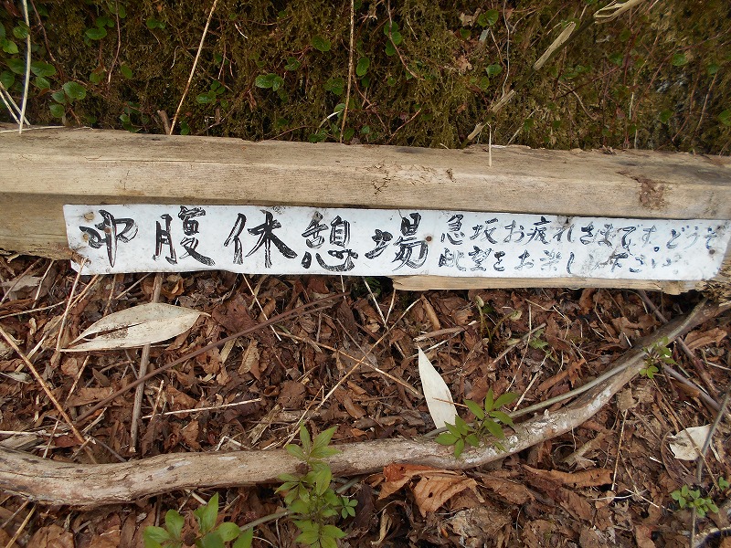 f:id:zen_chi:20200509165337j:plain