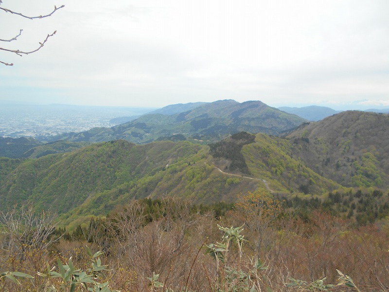 f:id:zen_chi:20200509165353j:plain