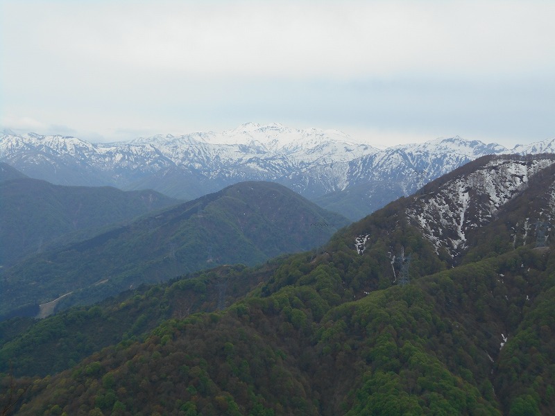 f:id:zen_chi:20200509165500j:plain