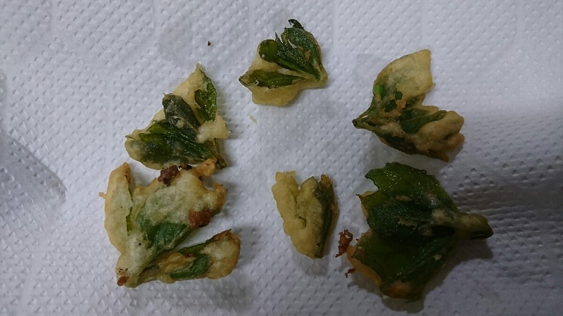 f:id:zen_chi:20200509195056j:plain