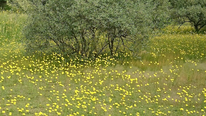 f:id:zen_chi:20200515173222j:plain f:id:zen_chi:20200515173222j:plain