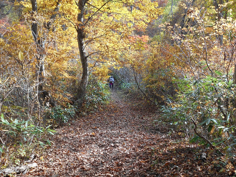 f:id:zen_chi:20201101172103j:plain