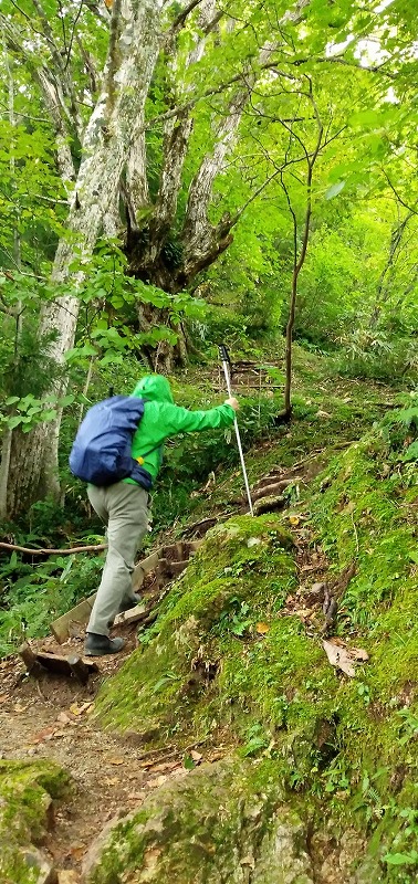 f:id:zen_chi:20210911175526j:plain