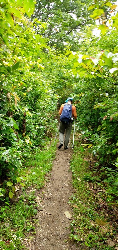 f:id:zen_chi:20210911175539j:plain