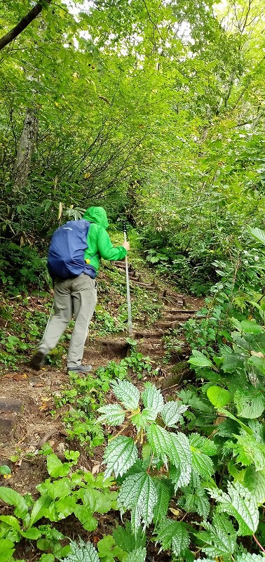 f:id:zen_chi:20210911175552j:plain