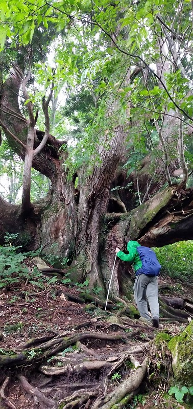 f:id:zen_chi:20210911175627j:plain