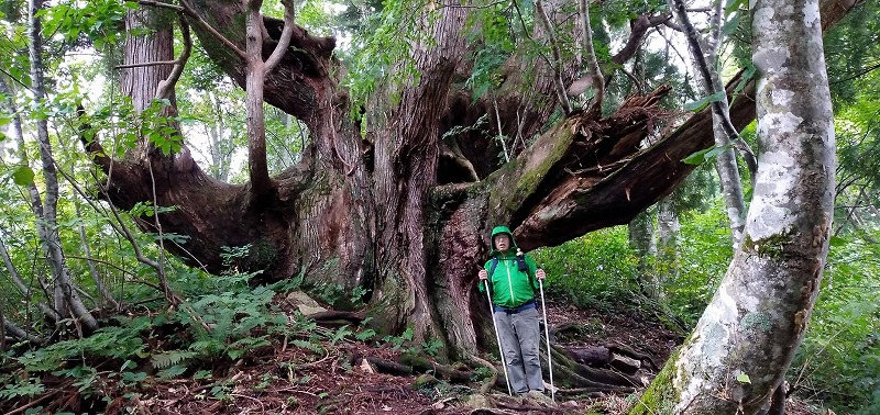 f:id:zen_chi:20210911175645j:plain