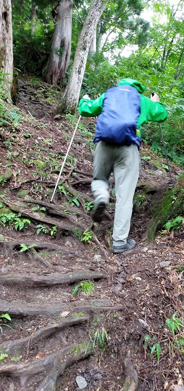 f:id:zen_chi:20210911175718j:plain