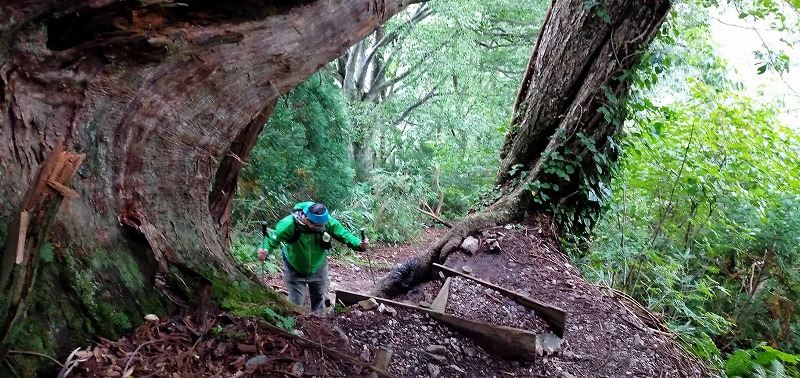 f:id:zen_chi:20210911175745j:plain