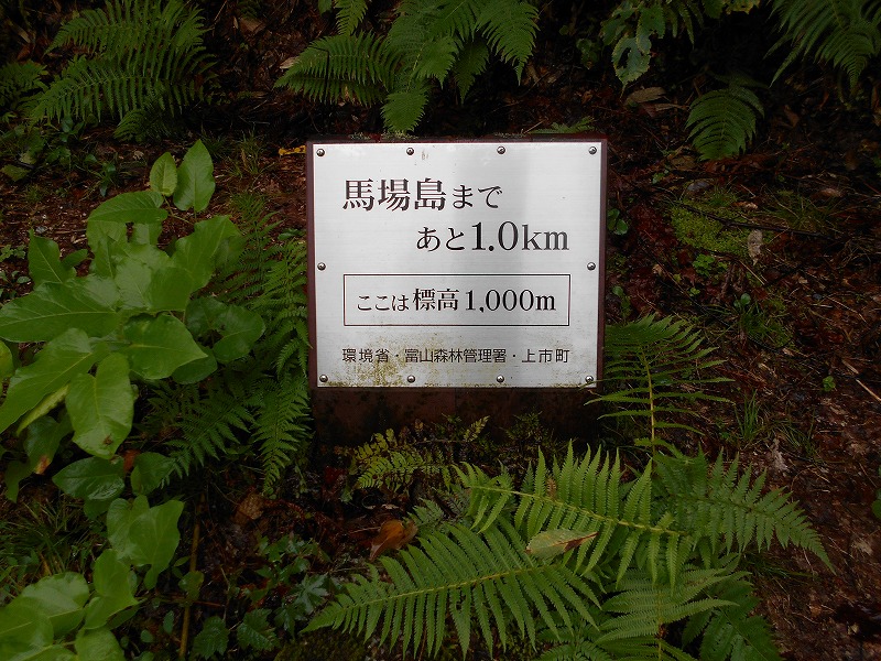 f:id:zen_chi:20210911175820j:plain