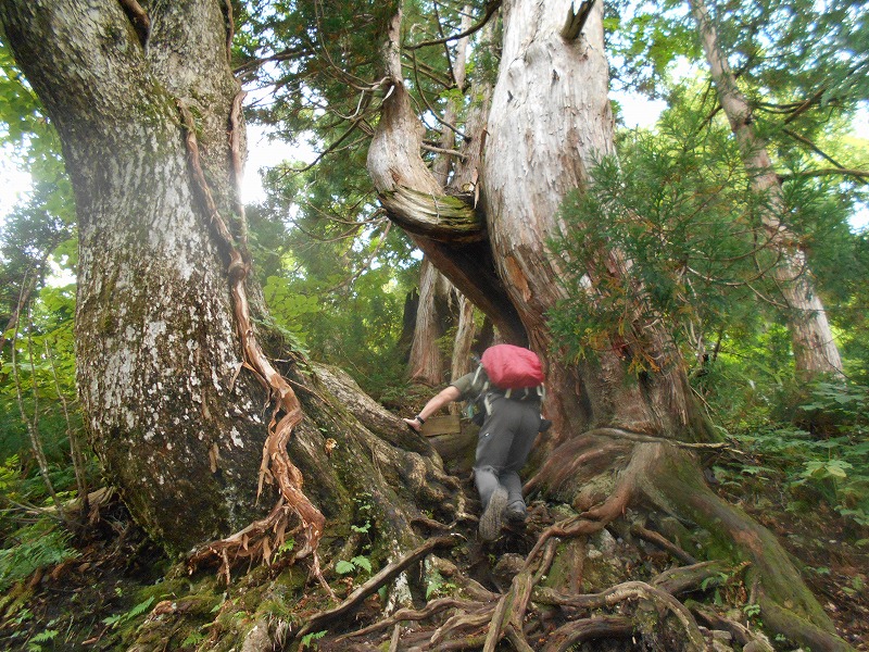 f:id:zen_chi:20210911180255j:plain