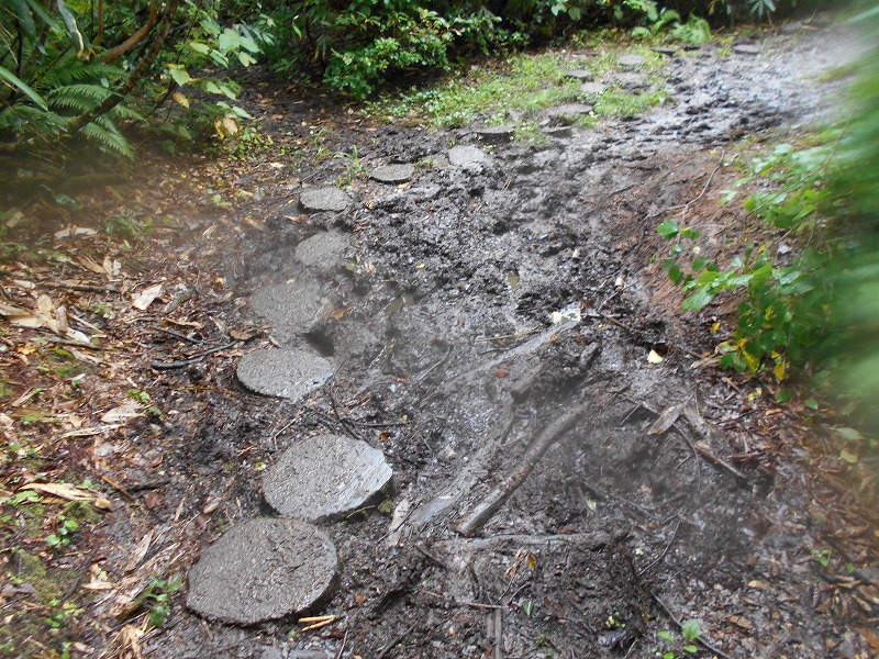 f:id:zen_chi:20210911180322j:plain