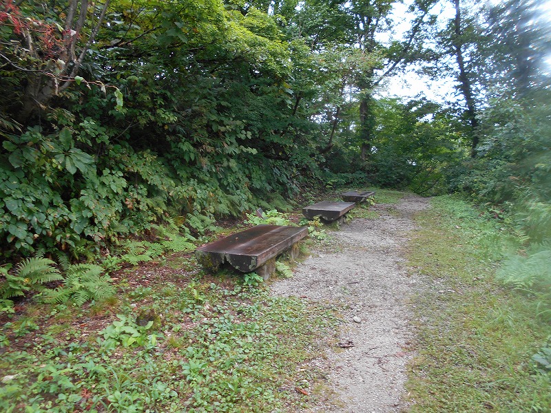 f:id:zen_chi:20210911180333j:plain