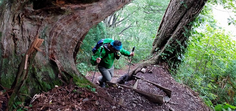 f:id:zen_chi:20210911182113j:plain