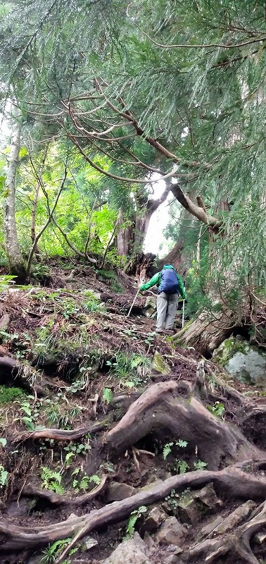 f:id:zen_chi:20210911182123j:plain