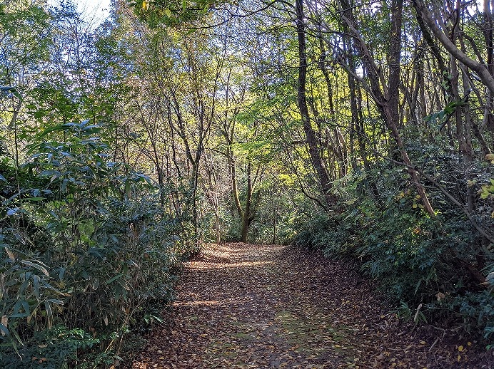 f:id:zen_chi:20211105174940j:plain