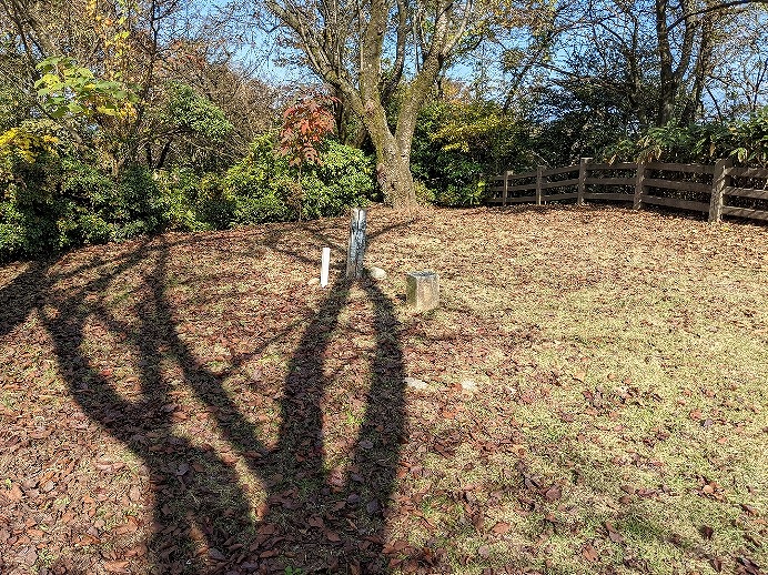 f:id:zen_chi:20211105175024j:plain