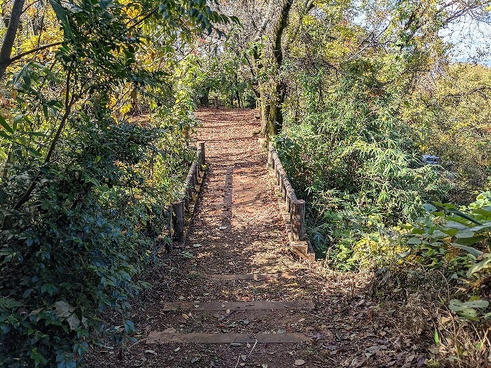 f:id:zen_chi:20211105175034j:plain