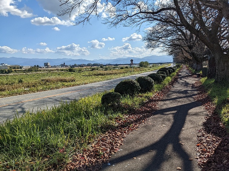 f:id:zen_chi:20211105175154j:plain