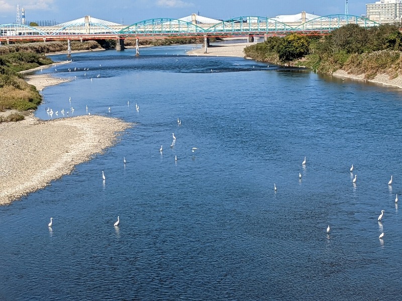 f:id:zen_chi:20211105175206j:plain