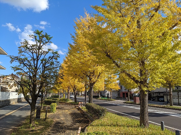 f:id:zen_chi:20211105175215j:plain