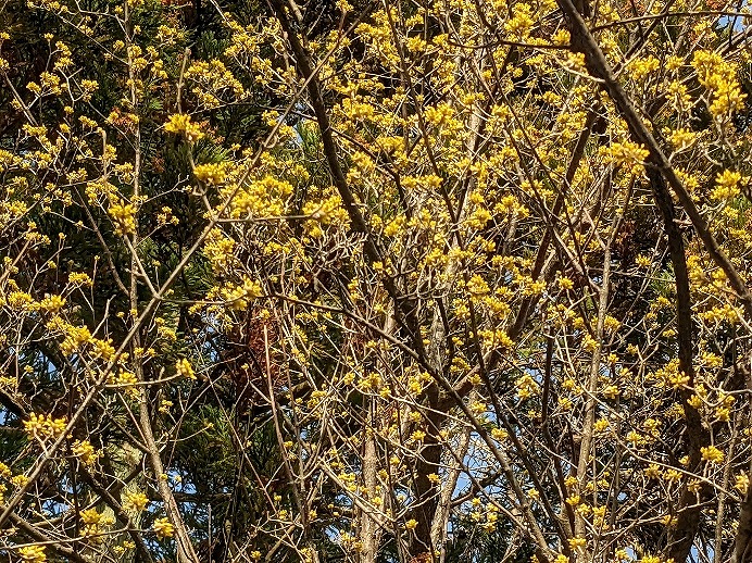 f:id:zen_chi:20220321172531j:plain