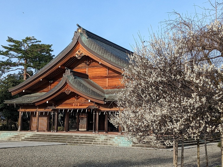 f:id:zen_chi:20220321173251j:plain