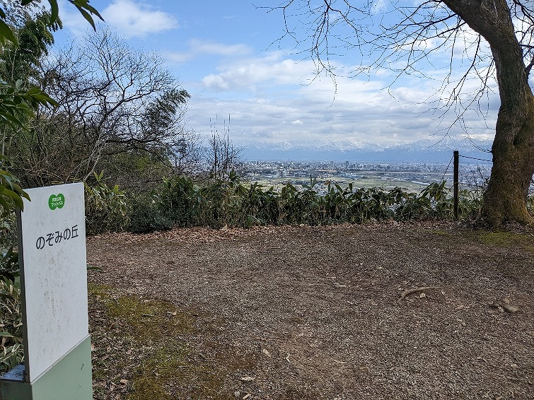 f:id:zen_chi:20220321174322j:plain