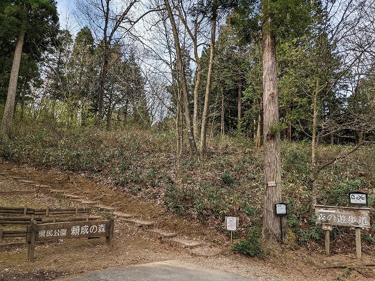 f:id:zen_chi:20220411183103j:plain