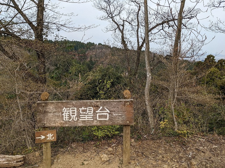 f:id:zen_chi:20220411183139j:plain