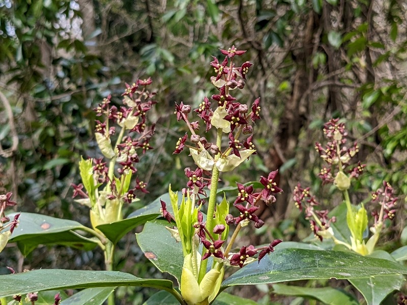 f:id:zen_chi:20220411183241j:plain