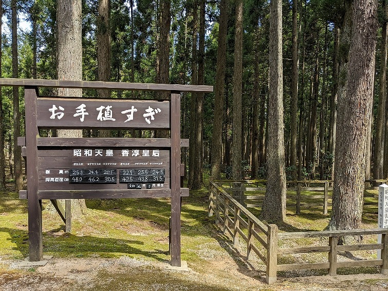 f:id:zen_chi:20220411183319j:plain