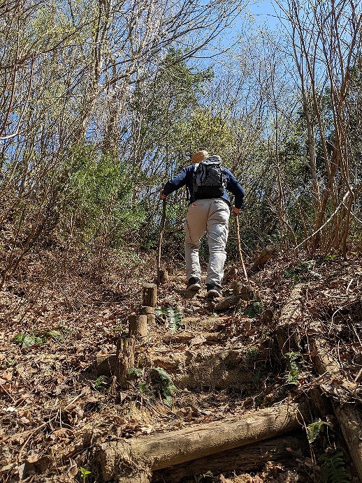 f:id:zen_chi:20220411183430j:plain