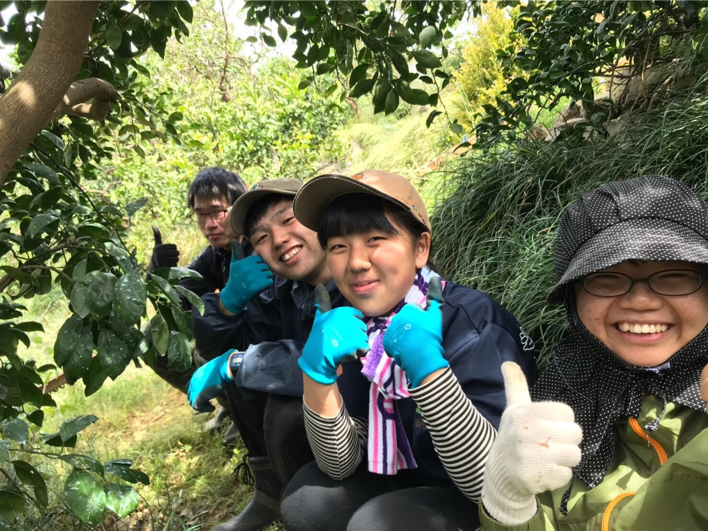 f:id:zenbeefarm:20190509015810j:image f:id:zenbeefarm:20190509015810j:image