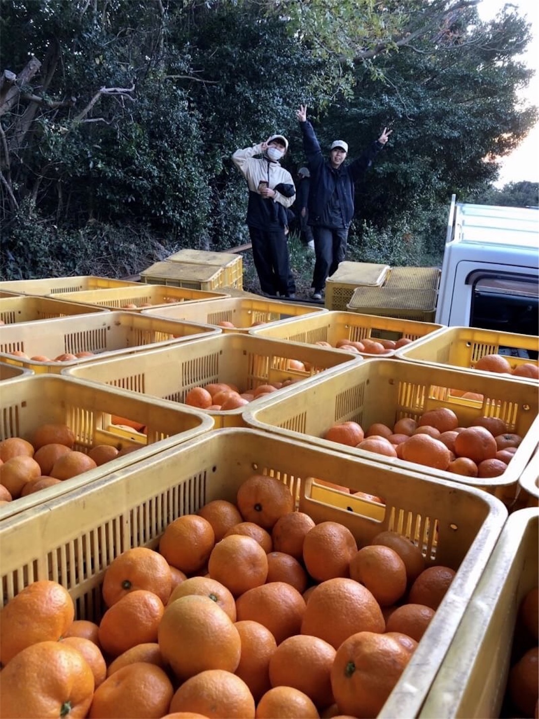 f:id:zenbeefarm:20191215103332j:image