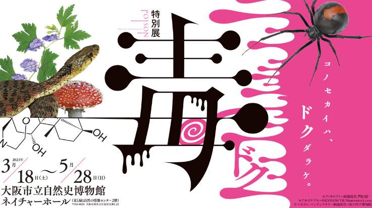 230523 毒展 に行きました - スッキリ気分よく暮らすには？