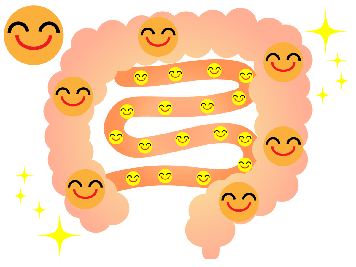 f:id:zendama_genki:20191231192947p:plain