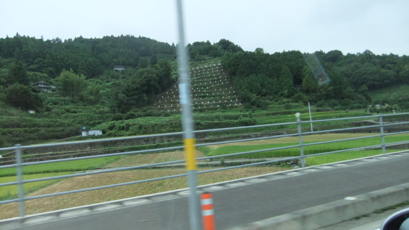 f:id:zenetsu86:20130901143406j:image f:id:zenetsu86:20130901143406j:image