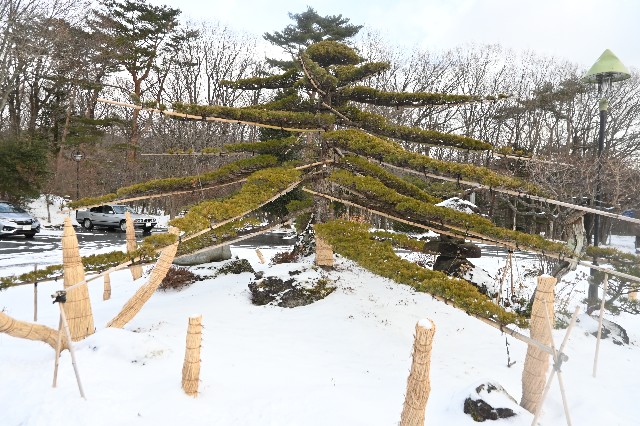 f:id:zenigame1:20230103171447j:image