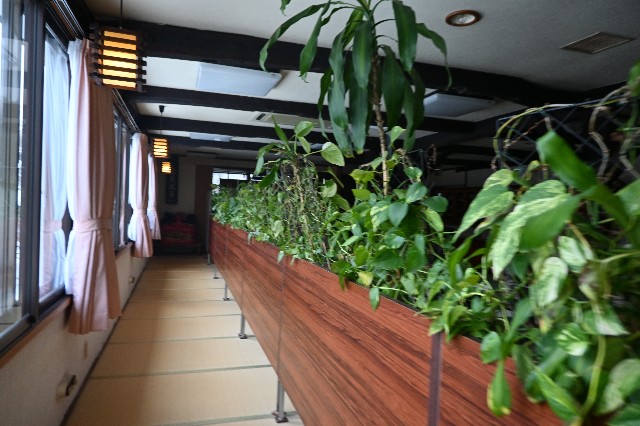 f:id:zenigame1:20230103171819j:image