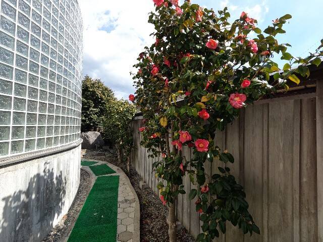 f:id:zenigame1:20240315224949j:image