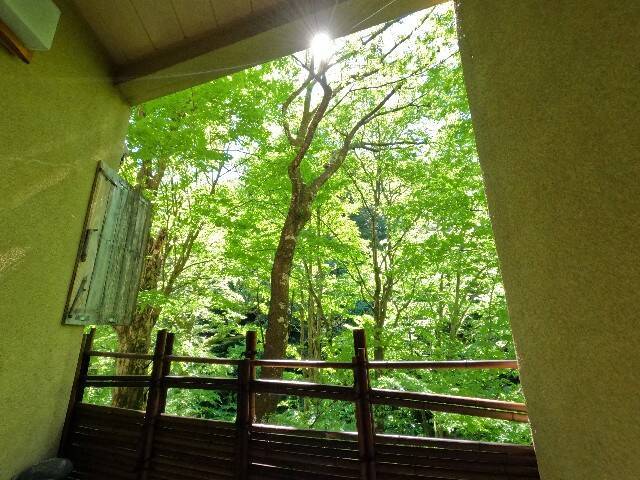 f:id:zenigame1:20240516234123j:image