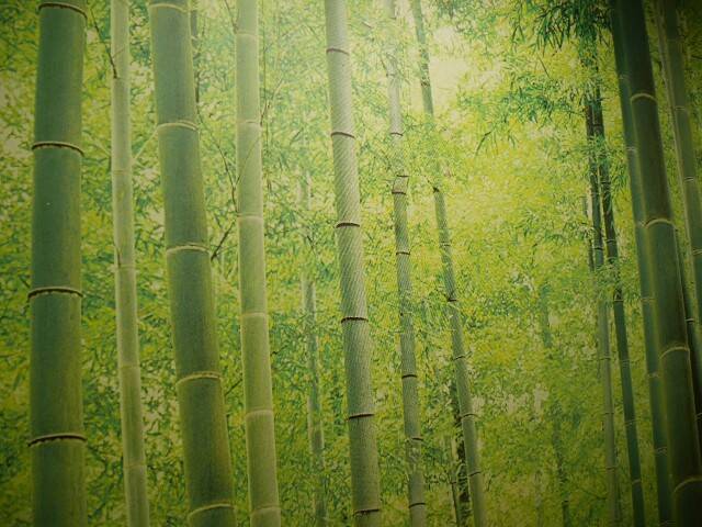 f:id:zenigame1:20240528213336j:image