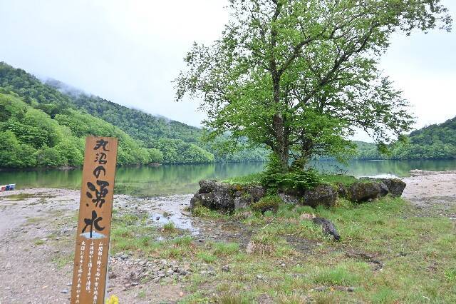 f:id:zenigame1:20240609223033j:image