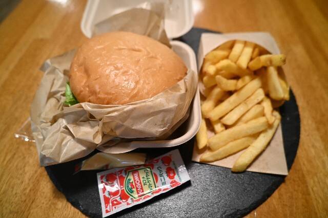 f:id:zenigame1:20240710204032j:image