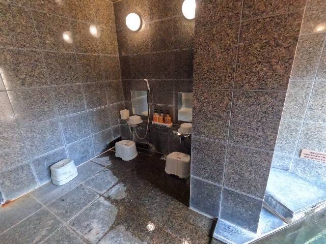 f:id:zenigame1:20240728210259j:image