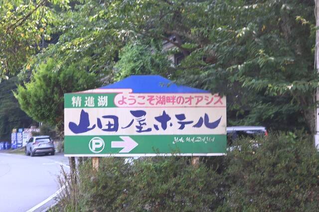 f:id:zenigame1:20240810124440j:image
