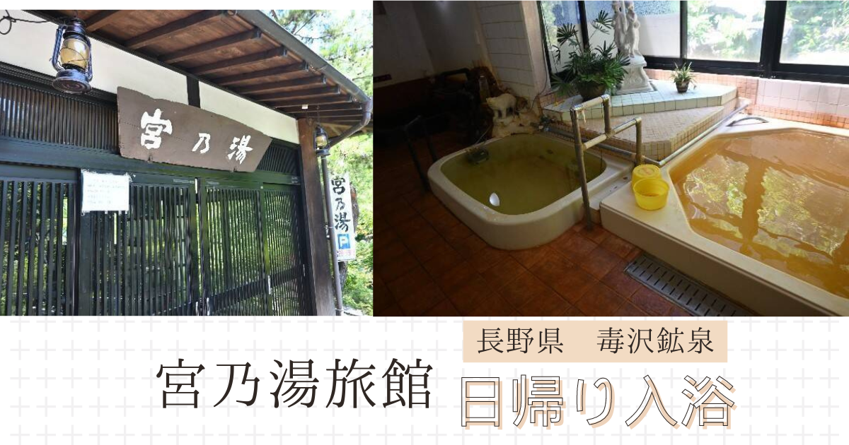 石のお風呂」でキレイになる!: まったく新しい「毒出し法」 川田 薫