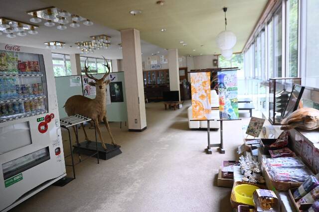 f:id:zenigame1:20241012185655j:image f:id:zenigame1:20241012185655j:image