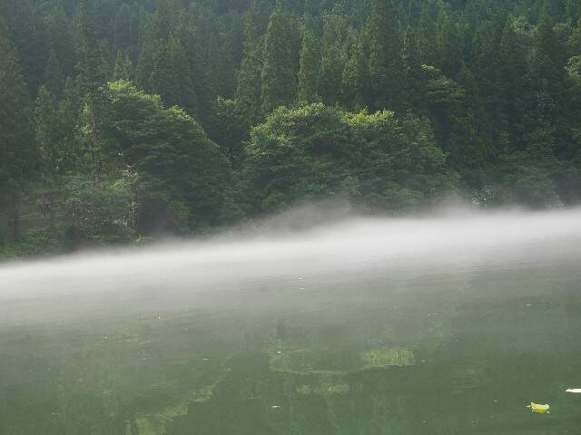 f:id:zenigame1:20241016203951j:image